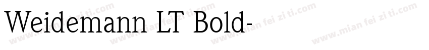 Weidemann LT Bold字体转换